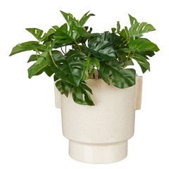 FAWN Kvetináč 18 cm - béžová