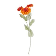 FLORISTA Astra 50 cm - oranžová