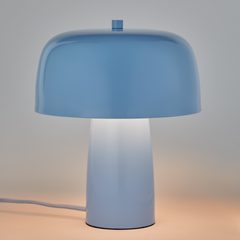 000000001000513327-0