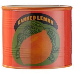 TIN Kvetináč citrón 6 cm - oranžová
