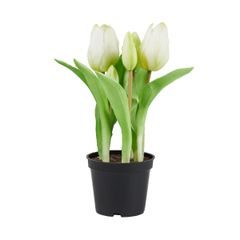 FLORISTA Tulipány "Real Touch" v kvetináči - sivobiela