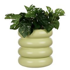 HOOP Kvetináč s podnosom 14 cm - zelená