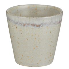 000000001000516127-0