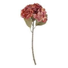 000000001000484643-0