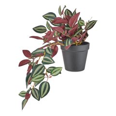 000000001000512743-0