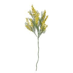 FLORISTA Mimóza 78 cm - žltá