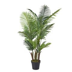 FLORISTA Papraď v kvetináči 140 cm