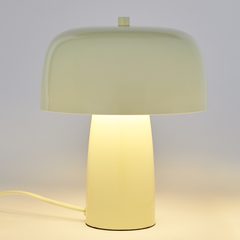 000000001000513328-0