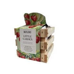 LITTLE GARDEN Záhradný box jahody vrátane semienok