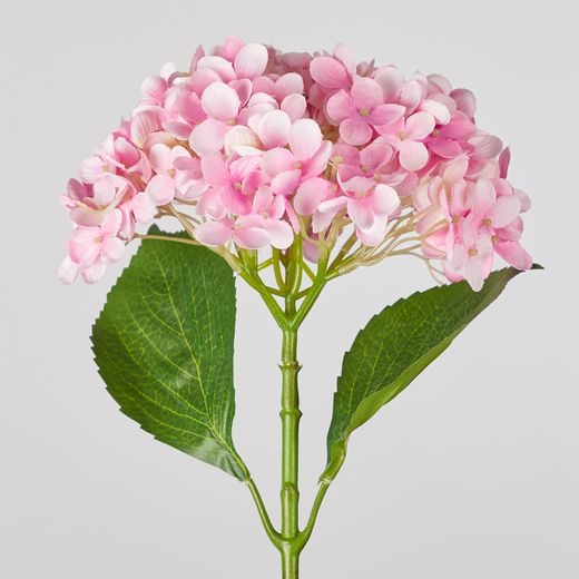 FLORISTA HORTENZIA  67 CM - SV. RUŽOVÁ