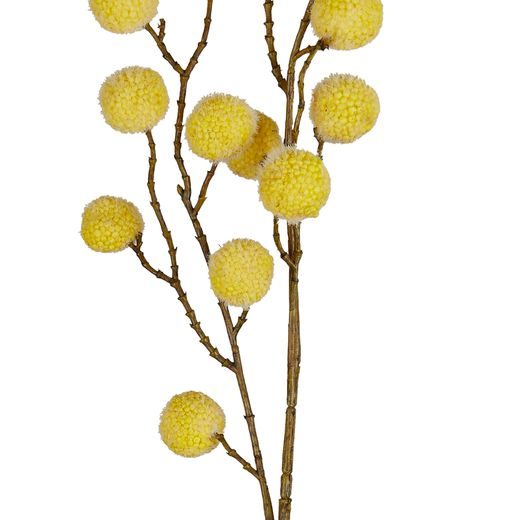 FLORISTA POM POM 66 CM - ŽLTÝ