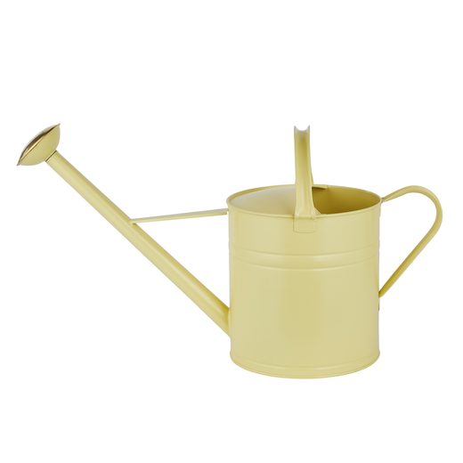 000000001000506390-1