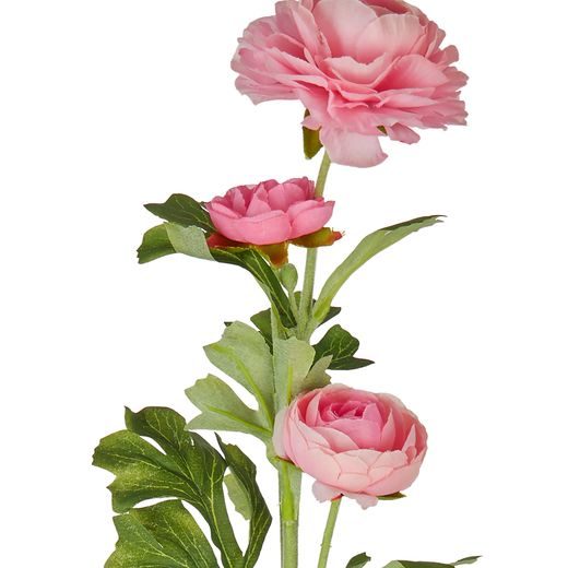 FLORISTA ISKERNÍK 63 CM - SVETLORUŽOVÝ