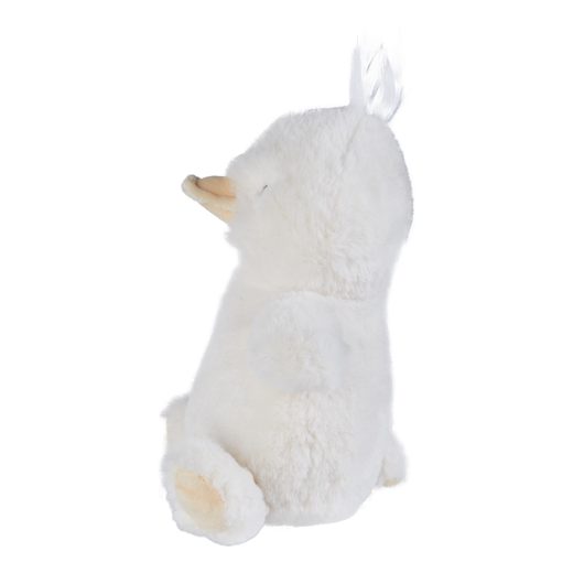 000000001000509912-2