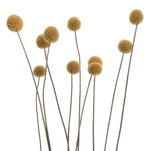 000000001000339872-2