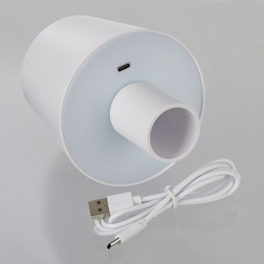 000000001000478307-7