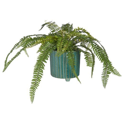 REED KVETINÁČ 20 CM - ZELENÝ