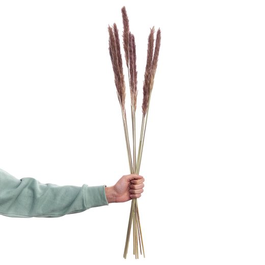 000000001000339871-3