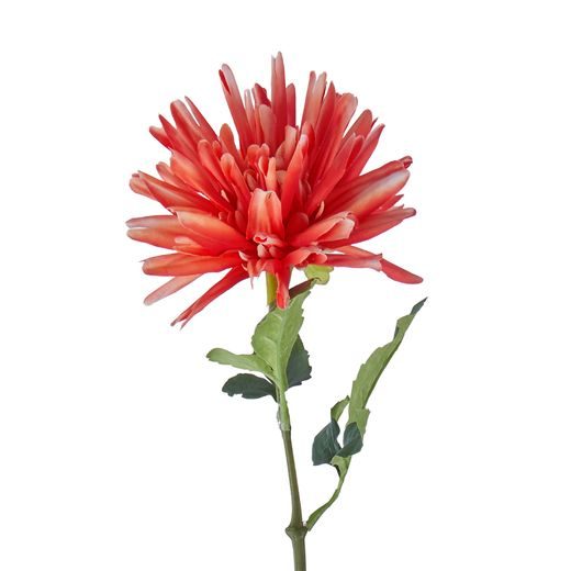 FLORISTA GEORGÍNA 59 CM - ČERVENÁ