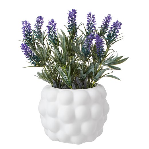 000000001000430964-1