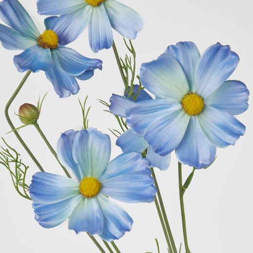 000000001000512753-1