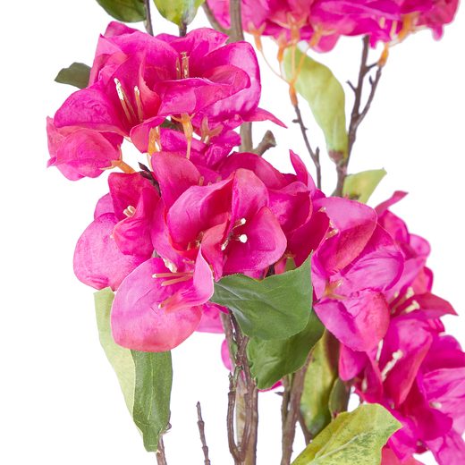 000000001000448207-2