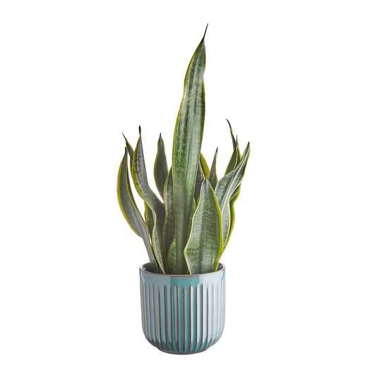 000000001000341444-1