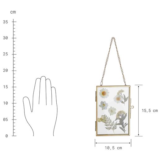 000000001000405686-4