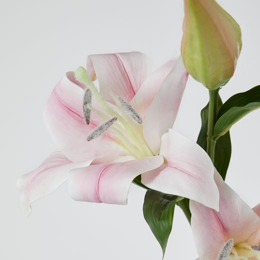 000000001000513320-1