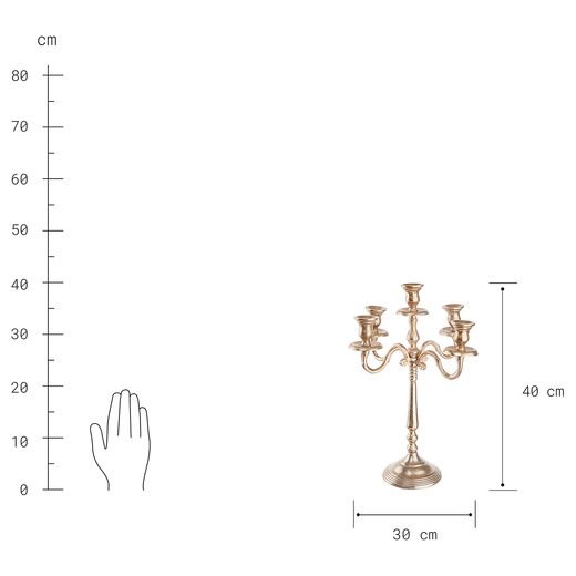 000000001000398217-5