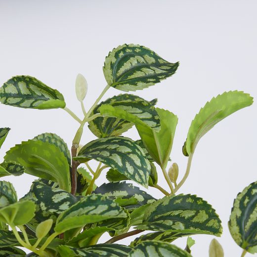 000000001000513310-2