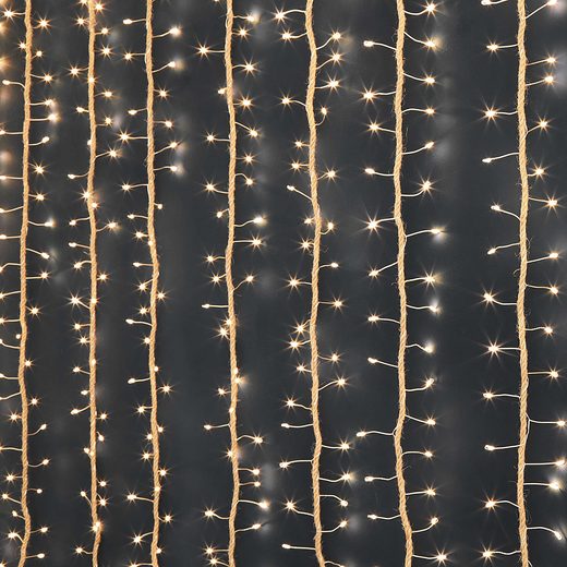 000000001000406556-1