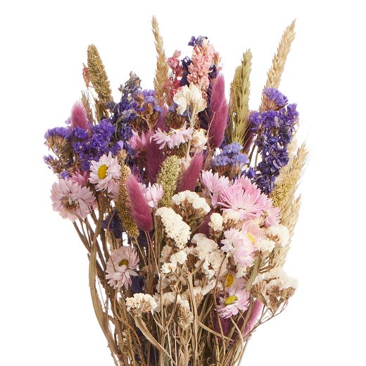 000000001000413765-1