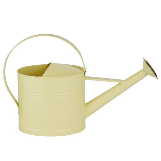 000000001000506369-2