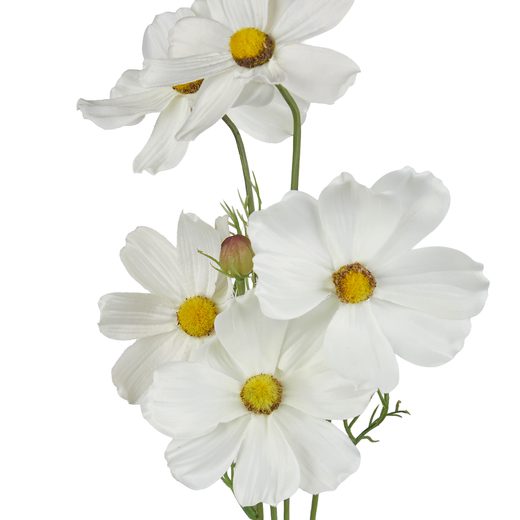 000000001000512748-1