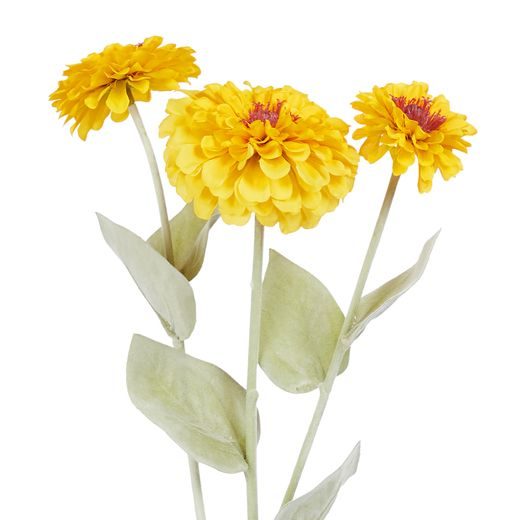 FLORISTA ASTRA 50 CM - ŽLTÁ