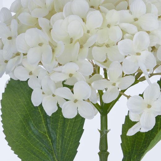 000000001000485220-1