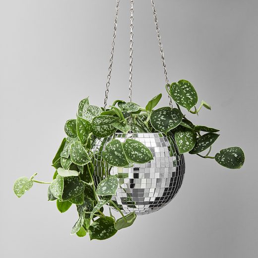 000000001000413600-1