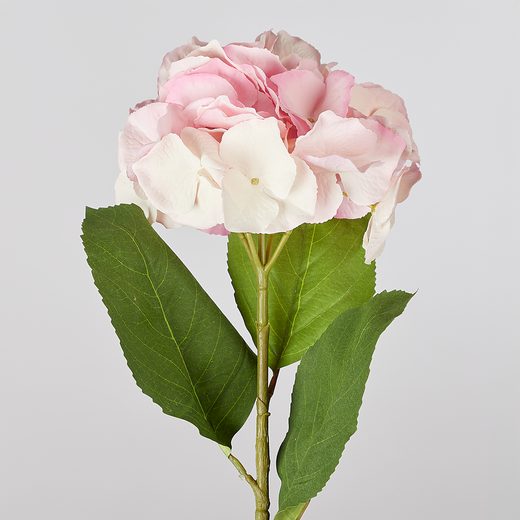 000000001000452912-1