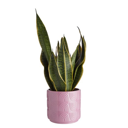 000000001000424883-1