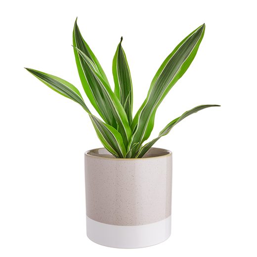 000000001000341413-1