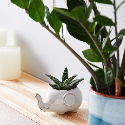 000000001000405705-1