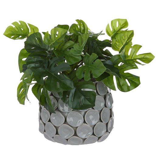 000000001000452172-1