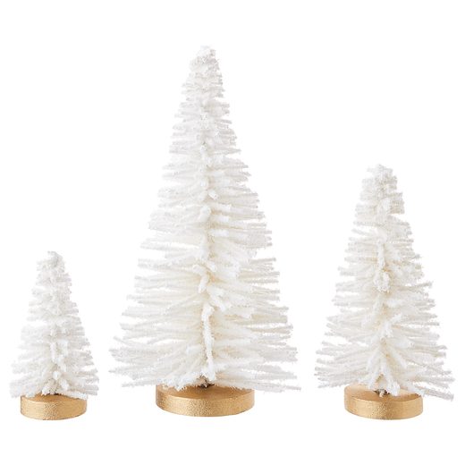 000000001000436066-1