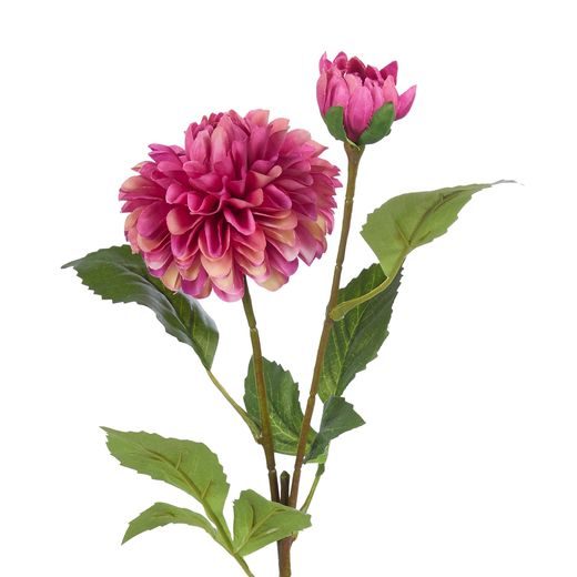 FLORISTA PIVONKA - TM. ČERVENÁ
