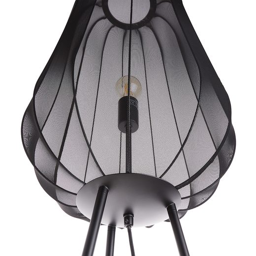 000000001000415001-2