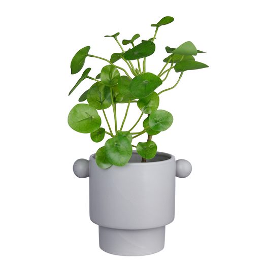 000000001000454242-1