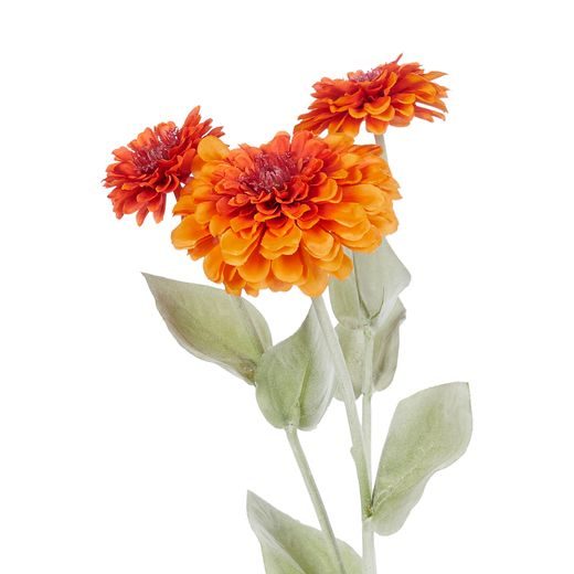 FLORISTA ASTRA 50 CM - ORANŽOVÁ