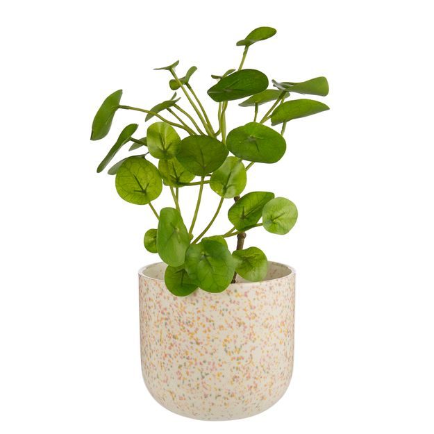 SPOT KVETINÁČ 20 CM