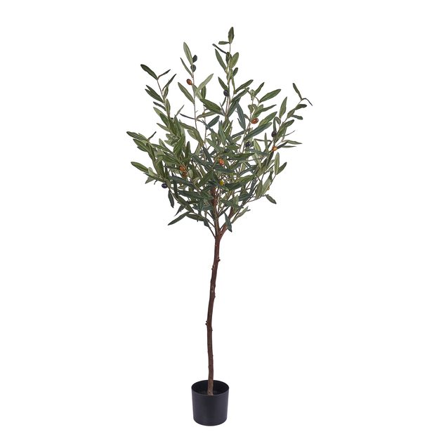 FLORISTA OLIVOVNÍK V KVETINÁČI 120 CM